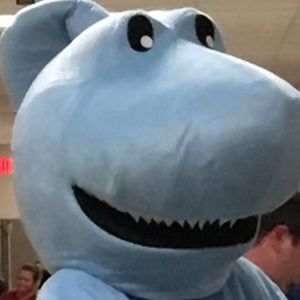 Meet your Posher, Jaxon